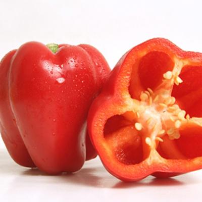 红圆椒农副产品种植配送